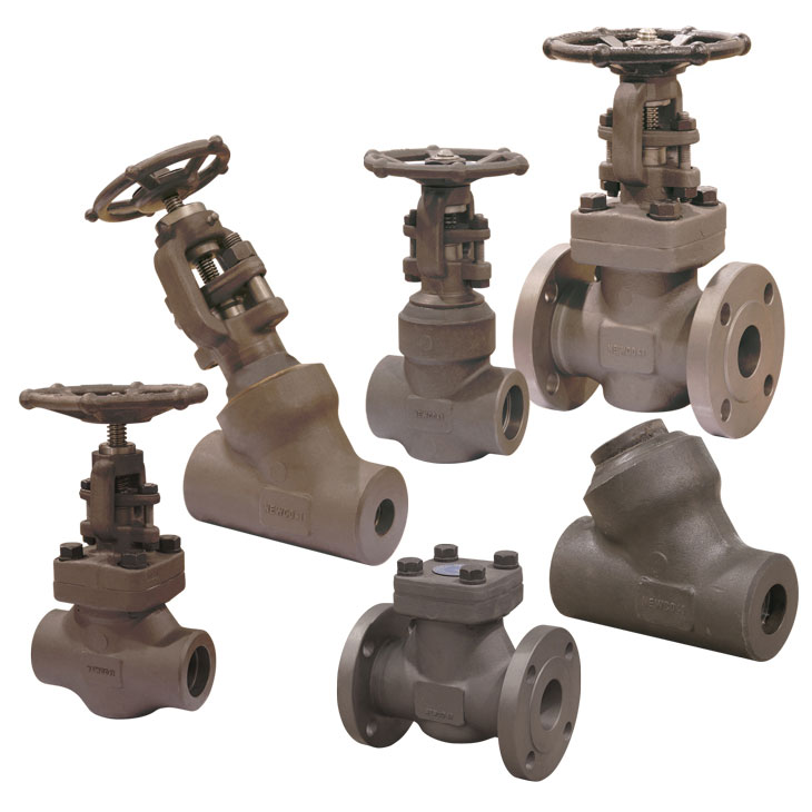 API 602 FORGED STEEL VALVES
